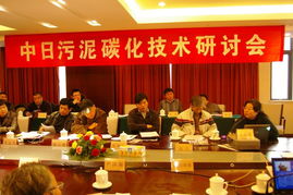 通用技術咨詢公司協辦 中日污泥碳化技術研討會在武漢成功舉行