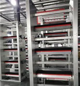 攜手創新，智贏未來 自動化蛋雞養殖設備技術咨詢與生產合作指南